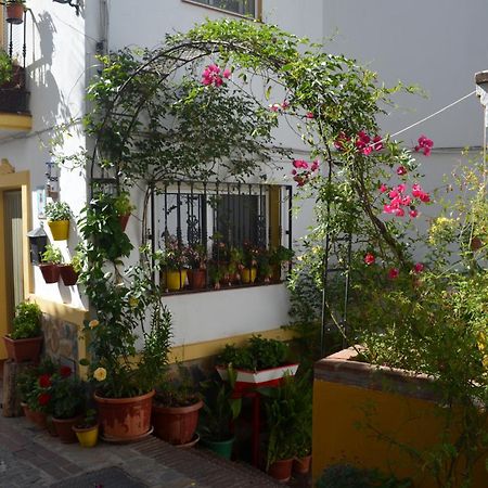 Finca El Molino De Aceite Jubrique Kültér fotó