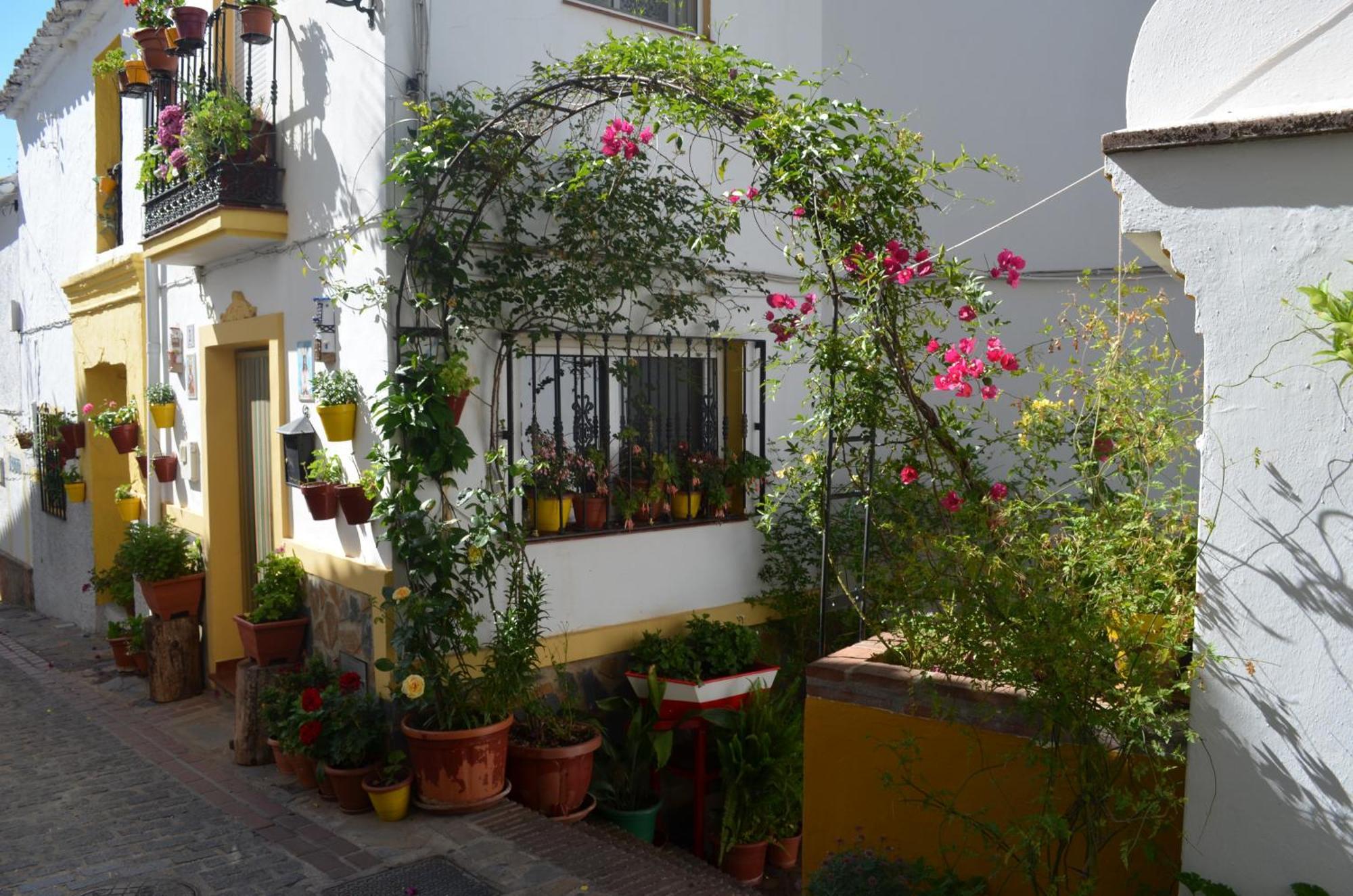 Finca El Molino De Aceite Jubrique Kültér fotó