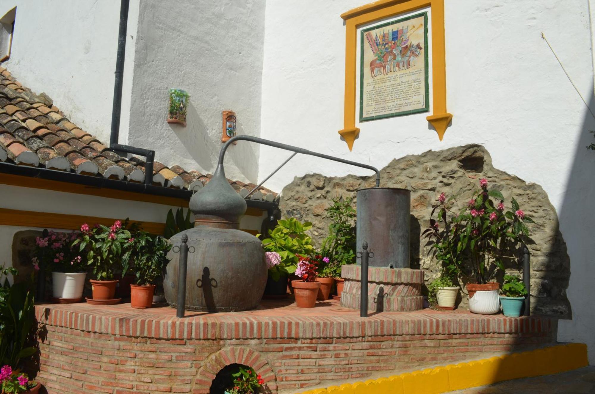 Finca El Molino De Aceite Jubrique Kültér fotó