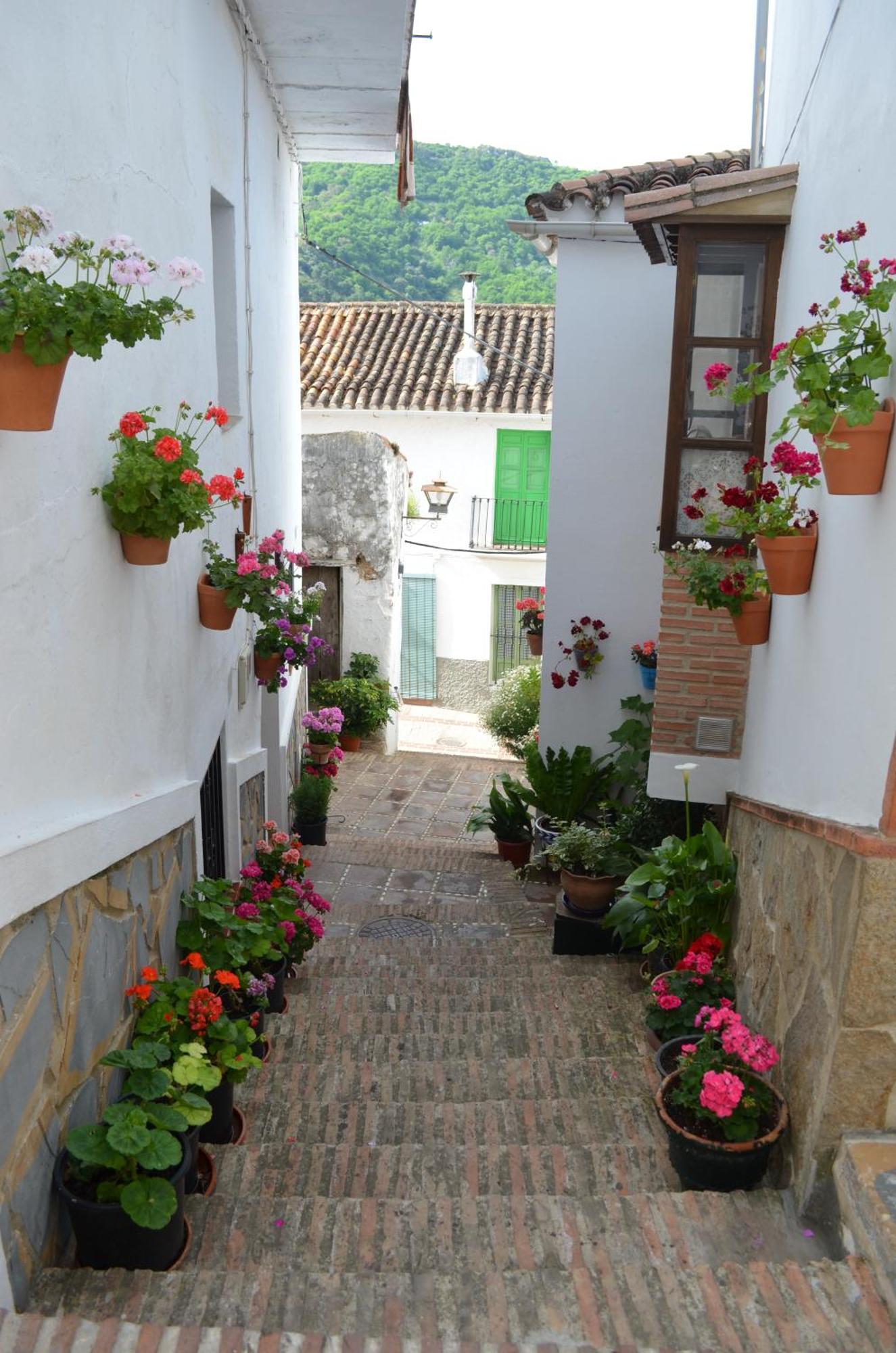 Finca El Molino De Aceite Jubrique Kültér fotó