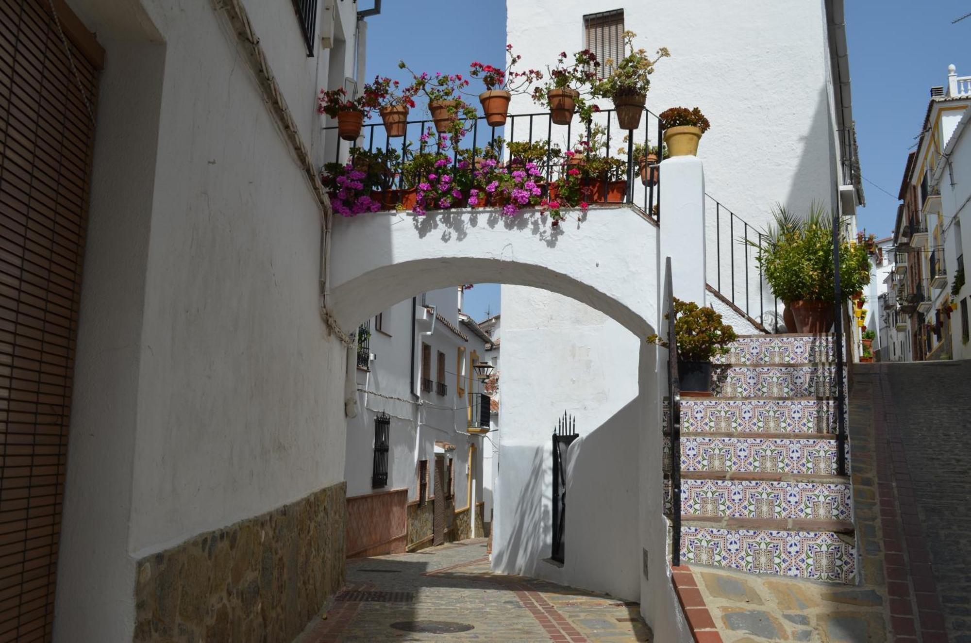 Finca El Molino De Aceite Jubrique Kültér fotó