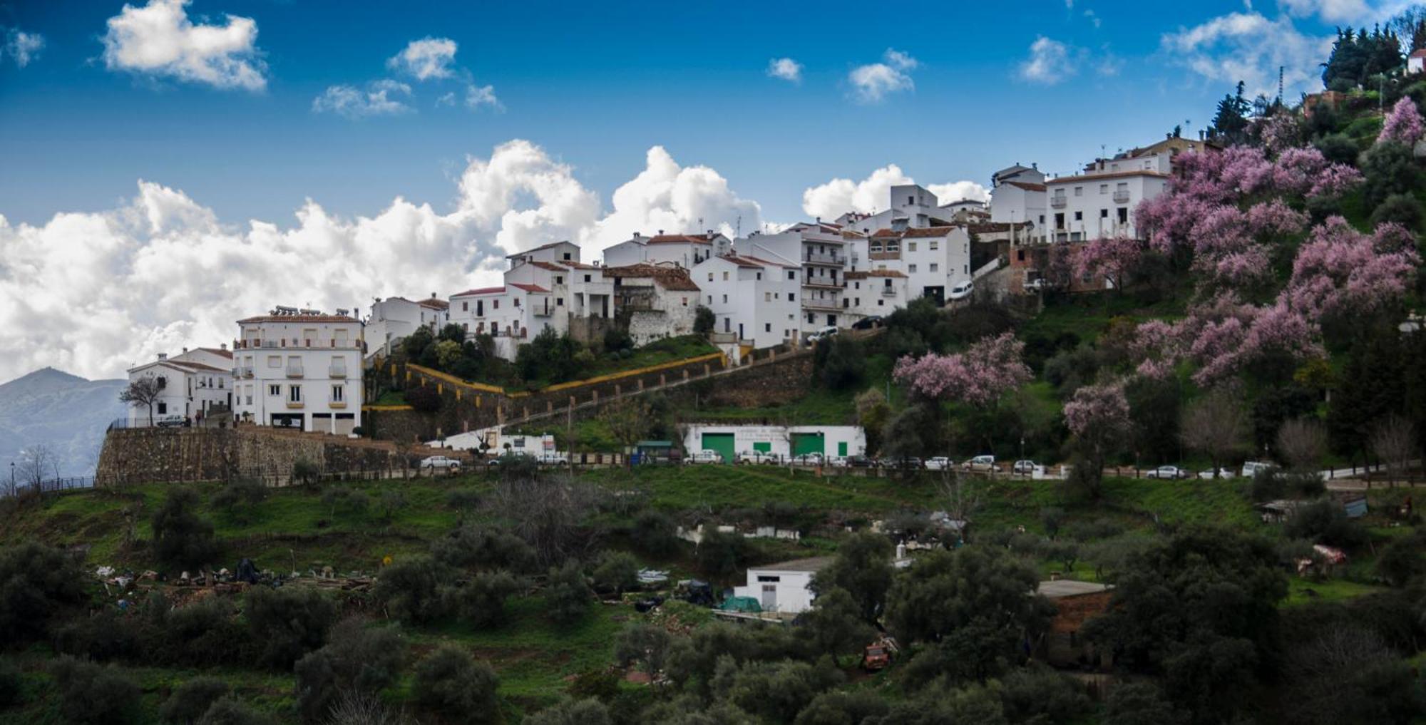 Finca El Molino De Aceite Jubrique Kültér fotó