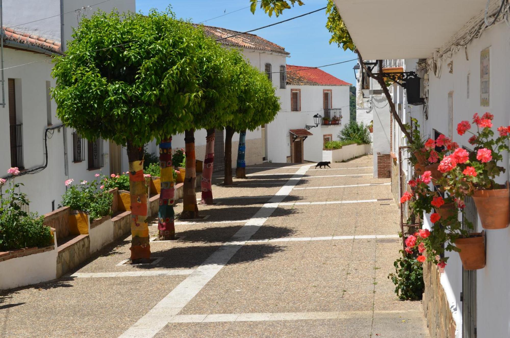 Finca El Molino De Aceite Jubrique Kültér fotó