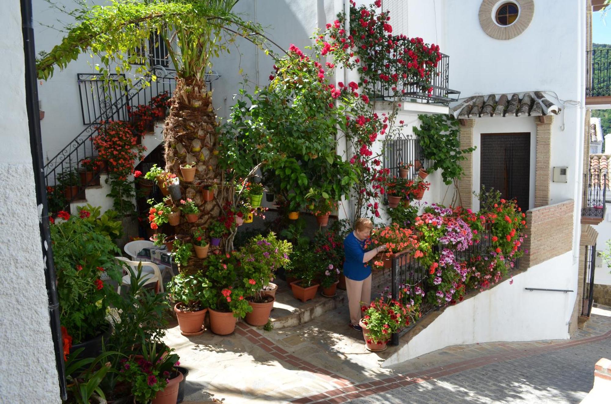 Finca El Molino De Aceite Jubrique Kültér fotó