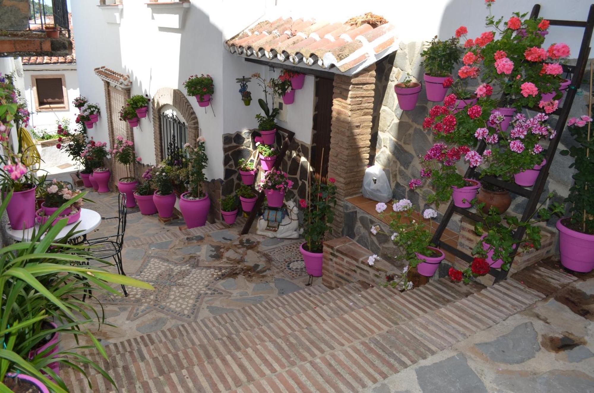 Finca El Molino De Aceite Jubrique Kültér fotó