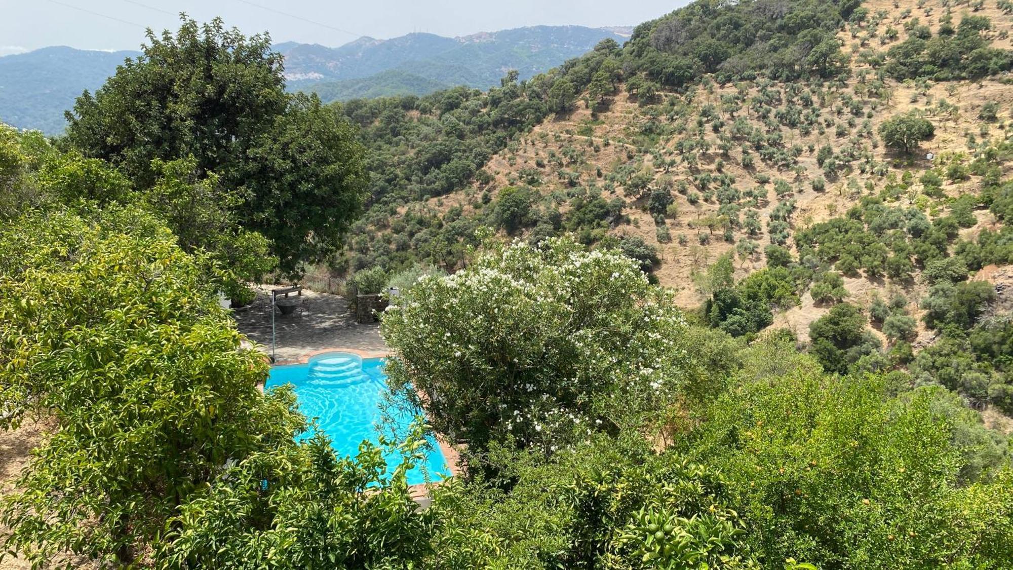 Finca El Molino De Aceite Jubrique Kültér fotó